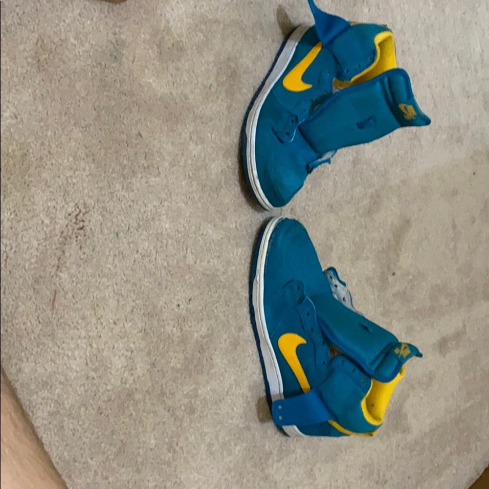 Nike sb dunk hogh pros